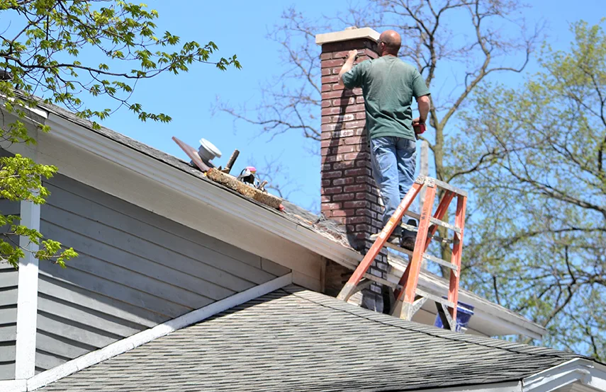 Chimney & Fireplace Inspections Services in Sarasota, FL